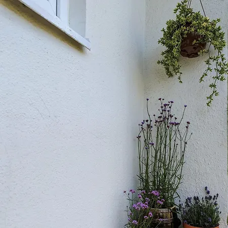 Διαμέρισμα Apartament Zacisze